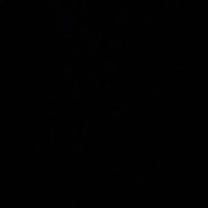 Meet your Posher, Leo